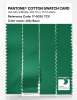 Product image 3 of the product “PANTONE® COTTON SWATCH CARD 17-6030 TCX Jelly Bean ”