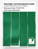 Product image 3 of the product “PANTONE® COTTON SWATCH CARD 17-6154 TCX Green Bee ”