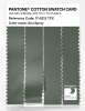 Artikelbild 3 des Artikels “PANTONE® COTTON SWATCH CARD 17-6212 TCX Sea Spray “