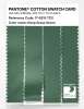 Product image 3 of the product “PANTONE® COTTON SWATCH CARD 17-6219 TCX Deep Grass Green ”