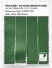 Product image 3 of the product “PANTONE® COTTON SWATCH CARD 17-6333 TCX Mint Green ”