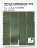 Product image 3 of the product “PANTONE® COTTON SWATCH CARD 18-0108 TCX Dill ”