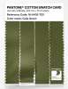 Product image 3 of the product “PANTONE® COTTON SWATCH CARD 18-0435 TCX Calla Green ”