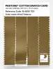Artikelbild 3 des Artikels “PANTONE® COTTON SWATCH CARD 18-0835 TCX Dried Tobacco “
