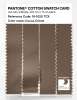 Artikelbild 3 des Artikels “PANTONE® COTTON SWATCH CARD 18-1020 TCX Cocoa Crème “