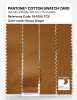 Artikelbild 3 des Artikels “PANTONE® COTTON SWATCH CARD 18-1050 TCX Honey Ginger “