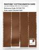 Product image 3 of the product “PANTONE® COTTON SWATCH CARD 18-1148 TCX Caramel Café ”