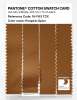 Product image 3 of the product “PANTONE® COTTON SWATCH CARD 18-1163 TCX Pumpkin Spice ”