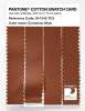 Product image 3 of the product “PANTONE® COTTON SWATCH CARD 18-1345 TCX Cinnamon Stick ”