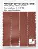 Artikelbild 3 des Artikels “PANTONE® COTTON SWATCH CARD 18-1346 TCX Bruschetta “