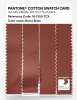 Artikelbild 3 des Artikels “PANTONE® COTTON SWATCH CARD 18-1350 TCX Burnt Brick “