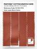 Artikelbild 3 des Artikels “PANTONE® COTTON SWATCH CARD 18-1354 TCX Burnt Ochre “