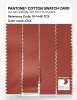 Artikelbild 3 des Artikels “PANTONE® COTTON SWATCH CARD 18-1448 TCX Chili “