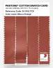 Artikelbild 3 des Artikels “PANTONE® COTTON SWATCH CARD 18-1450 TCX Mecca Orange “