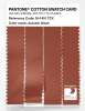 Artikelbild 3 des Artikels “PANTONE® COTTON SWATCH CARD 18-1451 TCX Autumn Glaze “