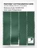 Artikelbild 3 des Artikels “PANTONE® COTTON SWATCH CARD 18-6018 TCX Foliage Green “