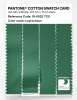 Artikelbild 3 des Artikels “PANTONE® COTTON SWATCH CARD 18-6022 TCX Leprechaun “