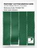 Artikelbild 3 des Artikels “PANTONE® COTTON SWATCH CARD 18-6024 TCX Amazon “