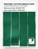Artikelbild 3 des Artikels “PANTONE® COTTON SWATCH CARD 18-6033 TCX Green Tambourine “