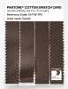 Artikelbild 3 des Artikels “PANTONE® COTTON SWATCH CARD 19-1116 TCX Carafe “