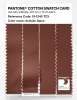 Artikelbild 3 des Artikels “PANTONE® COTTON SWATCH CARD 19-1245 TCX Arabian Spice “