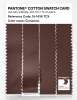 Artikelbild 3 des Artikels “PANTONE® COTTON SWATCH CARD 19-1436 TCX Cinnamon “