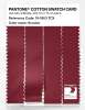 Product image 3 of the product “PANTONE® COTTON SWATCH CARD 19-1863 TCX Scooter ”