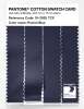 Artikelbild 3 des Artikels “PANTONE® COTTON SWATCH CARD 19-3925 TCX Patriot Blue “
