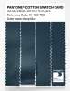 Artikelbild 3 des Artikels “PANTONE® COTTON SWATCH CARD 19-4126 TCX Deep Dive “