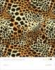 Artikelbild 4 des Artikels “Animal Style Textures Vol. 1 incl. DVD “