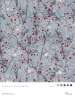 Artikelbild 4 des Artikels “Natural Pop Textures Vol. 2 incl. DVD “