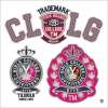 Artikelbild 4 des Artikels “Badges & Graphics incl. DVD “