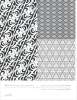 Artikelbild 4 des Artikels “Black & White Matrix Vol. 1 incl. DVD “