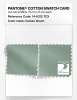 Artikelbild 4 des Artikels “PANTONE® COTTON SWATCH CARD 14-6312 TCX Cameo Green “