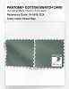 Artikelbild 4 des Artikels “PANTONE® COTTON SWATCH CARD 16-5810 TCX Green Bay “