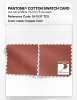 Artikelbild 4 des Artikels “PANTONE® COTTON SWATCH CARD 18-1537 TCX Copper Coin “