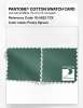 Artikelbild 4 des Artikels “PANTONE® COTTON SWATCH CARD 18-5622 TCX Frosty Spruce “