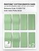 Product image 5 of the product “PANTONE® COTTON SWATCH CARD 12-0225 TCX Patina Green ”