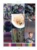 Artikelbild 5 des Artikels “View Textile Magazine no. 108  “