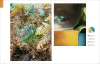 Artikelbild 6 des Artikels “Palette Perfect - Color Combinations Inspired by Fashion, Art & Style “