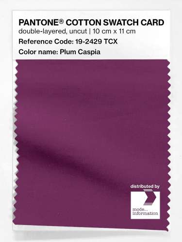 Artikelbild des Artikels “PANTONE® COTTON SWATCH CARD 19-2429 TCX Plum Caspia “