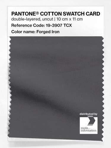 PANTONE® COTTON SWATCH CARD 19-3907 TCX Forged Iron