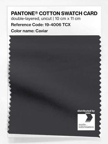 Artikelbild des Artikels “PANTONE® COTTON SWATCH CARD 19-4006 TCX Caviar “