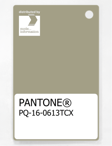 Artikelbild des Artikels “PANTONE® PLASTIC STANDARD CHIP PQ 16-0613 TCX Elm “