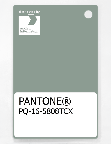 Artikelbild des Artikels “PANTONE® PLASTIC STANDARD CHIP PQ 16-5808 TCX Iceberg Green “