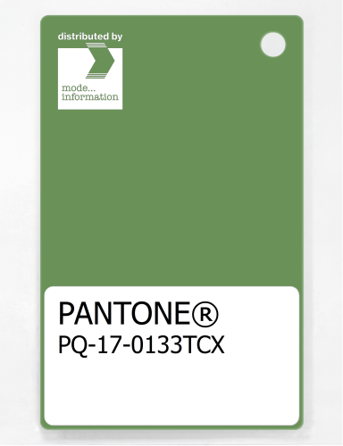 PANTONE® PLASTIC STANDARD CHIP PQ 17-0133 TCX Fluorite Green