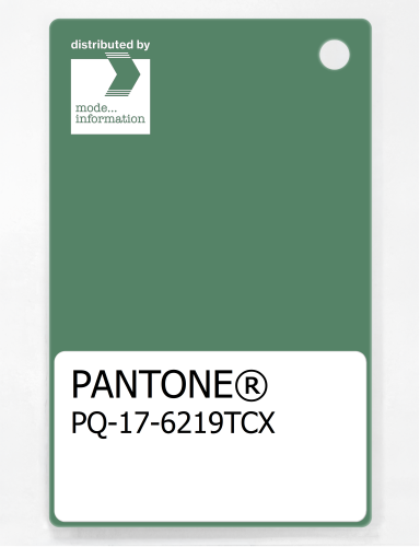 PANTONE® PLASTIC STANDARD CHIP PQ 17-6219 TCX Deep Grass Green