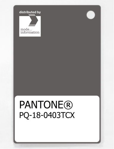 PANTONE® PLASTIC STANDARD CHIP PQ 18-0403 TCX Dark Gull Gray