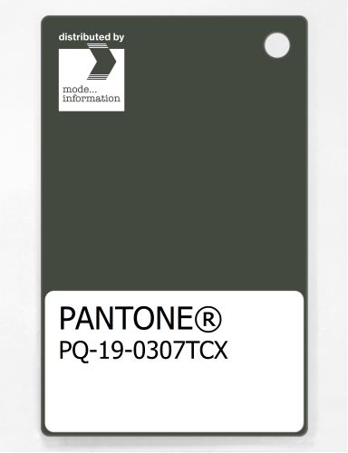 Artikelbild des Artikels “PANTONE® PLASTIC STANDARD CHIP PQ 19-0307 TCX Climbing Ivy “