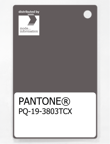PANTONE® PLASTIC STANDARD CHIP PQ 19-3803 TCX Plum Kitten